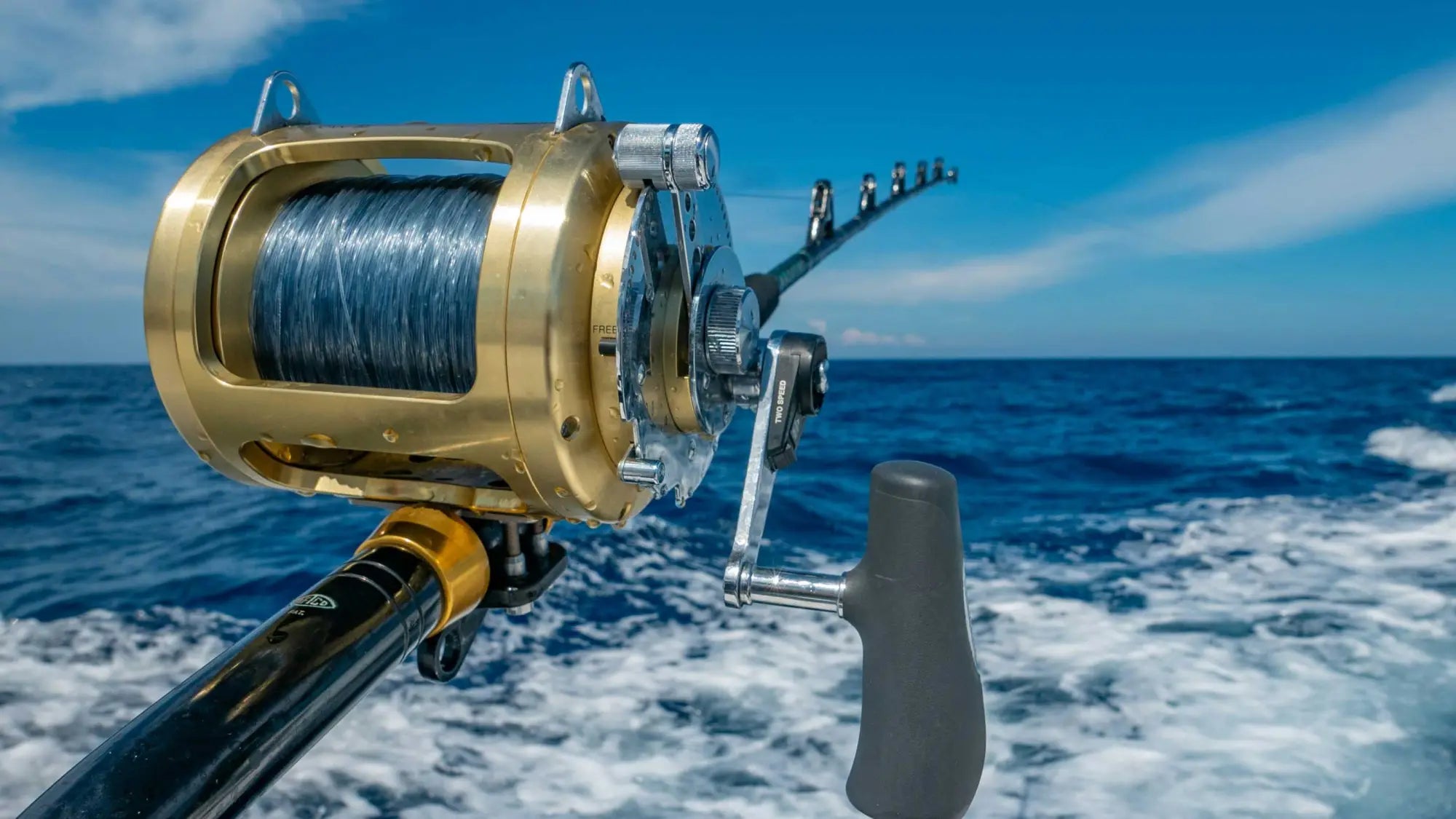 Best Salt Water Fishing Reels  News  Fishingmonk