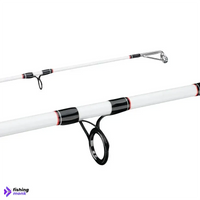 Berkley Big Game Spinning Rod | 7ft - 8ft - Fishing Rod