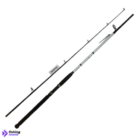 Daiwa D-Wave 8ft spinning rod