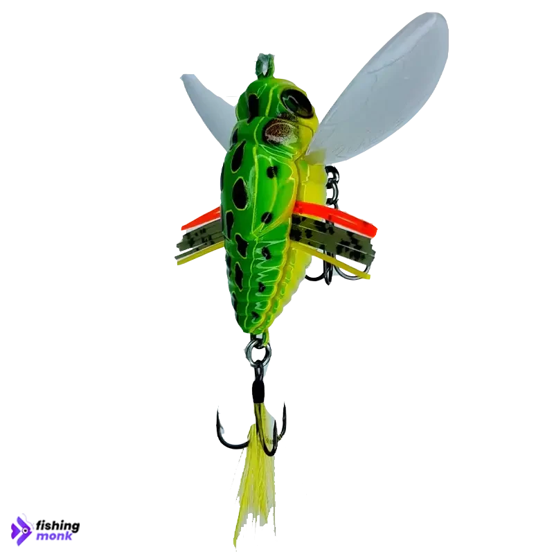 Duo International Realis Shinmushi