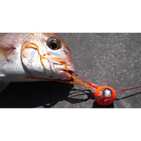 Fishingmonk