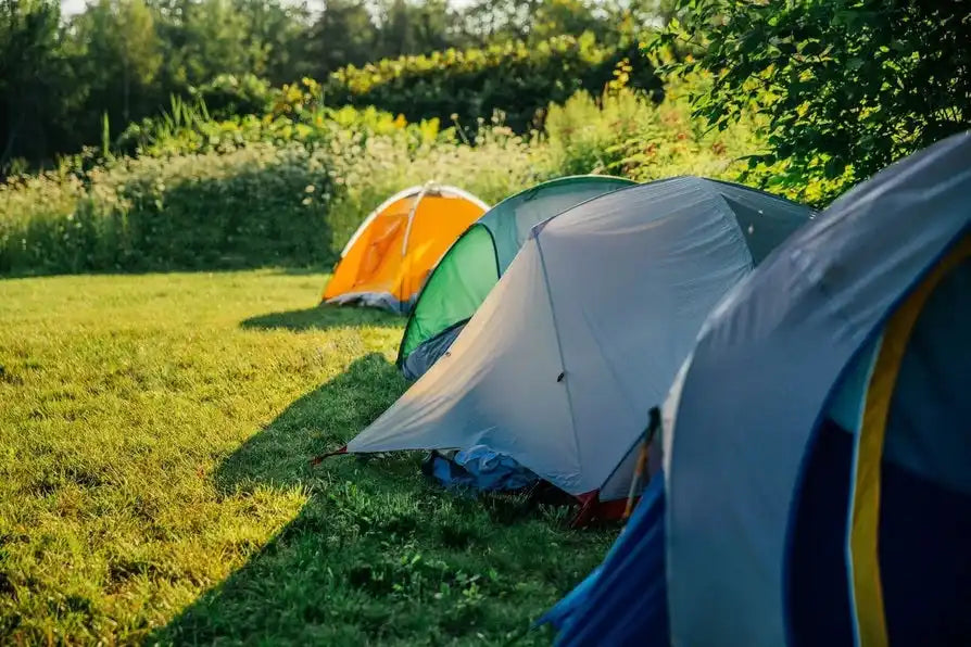 Several camping tents set up in a row.