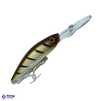 Lucana Ghosted Minnow | 70mm | 10g - Gold Tiger - Fishing